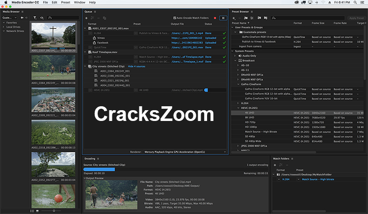 Adobe Media Encoder Crack Interface