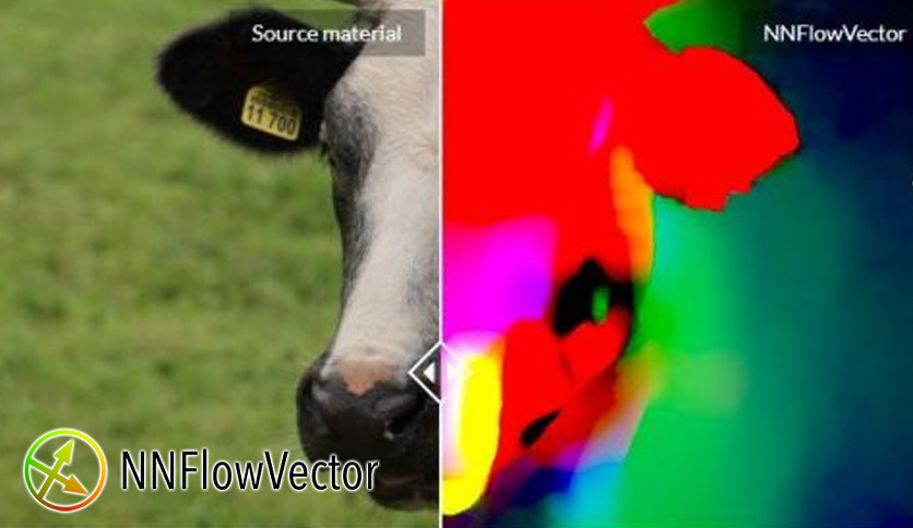 NNFlowVector Crack